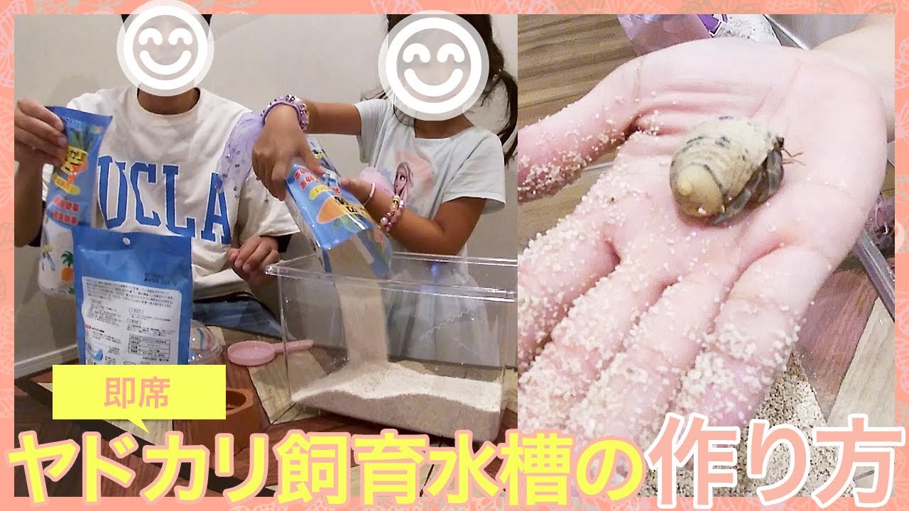 ヤドカリ飼育水槽の作り方。初心者がヤドカリ釣りでもらったヤドカリを飼うことになったので急遽ホームセンターや100均商品で即席のヤドカリの住処を作成。立ち上げ方やレイアウト