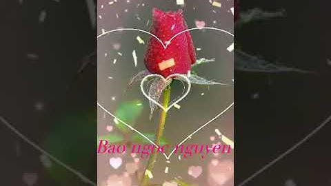 Đám cưới Song Thư và Trùng Dương