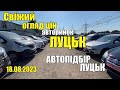 АВТОПІДБІР ЛУЦЬК | Свіжий огляд цін АВТОБАЗАР ЛУЦЬК | Підбір авто | огляд авто #автоподбор #авто