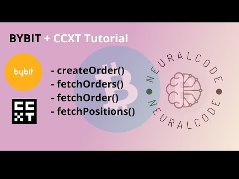 ByBit API Tutorial With CCXT Functions Explained 