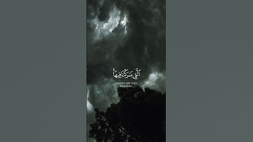 ولسليمان الريح عاصفة تجري بأمره إلى الأرض التي باركنا فيها ..[ سورة الأنبياء الآية 81]