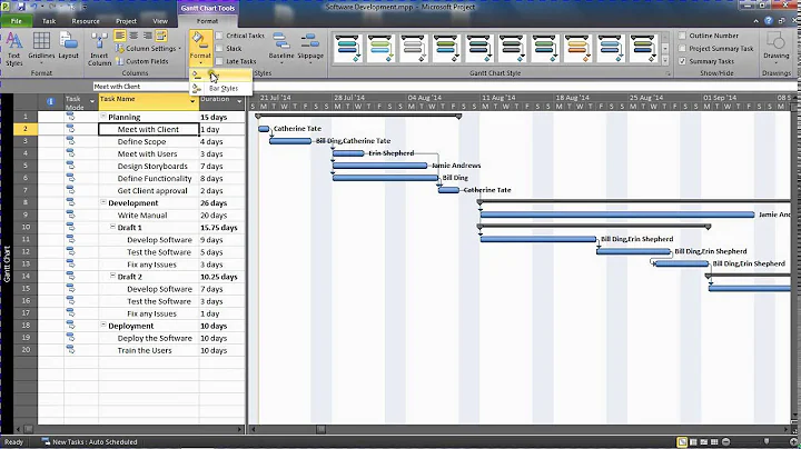 Display Task Name Next to Bars on Gantt Chart - MS Project