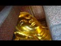 Globe Music - Asian Lounge Deluxe - Shubunkin (Thaïlande)