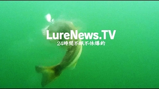 LureNews.TV（ルアーニュースTV）