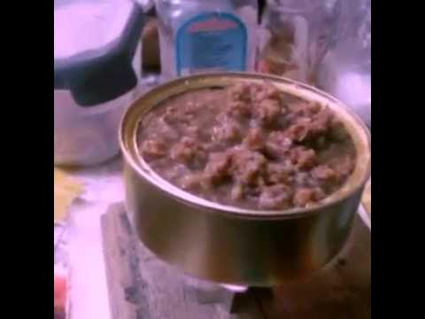 Как разогреть банку тушенки. Как разогреть банку тушенки. Как разогреть консервы. Тушенка или тушонка правило. Как разогреть банку тушенки.