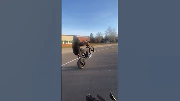 Ebike Ridstar Shorts Wheelie 