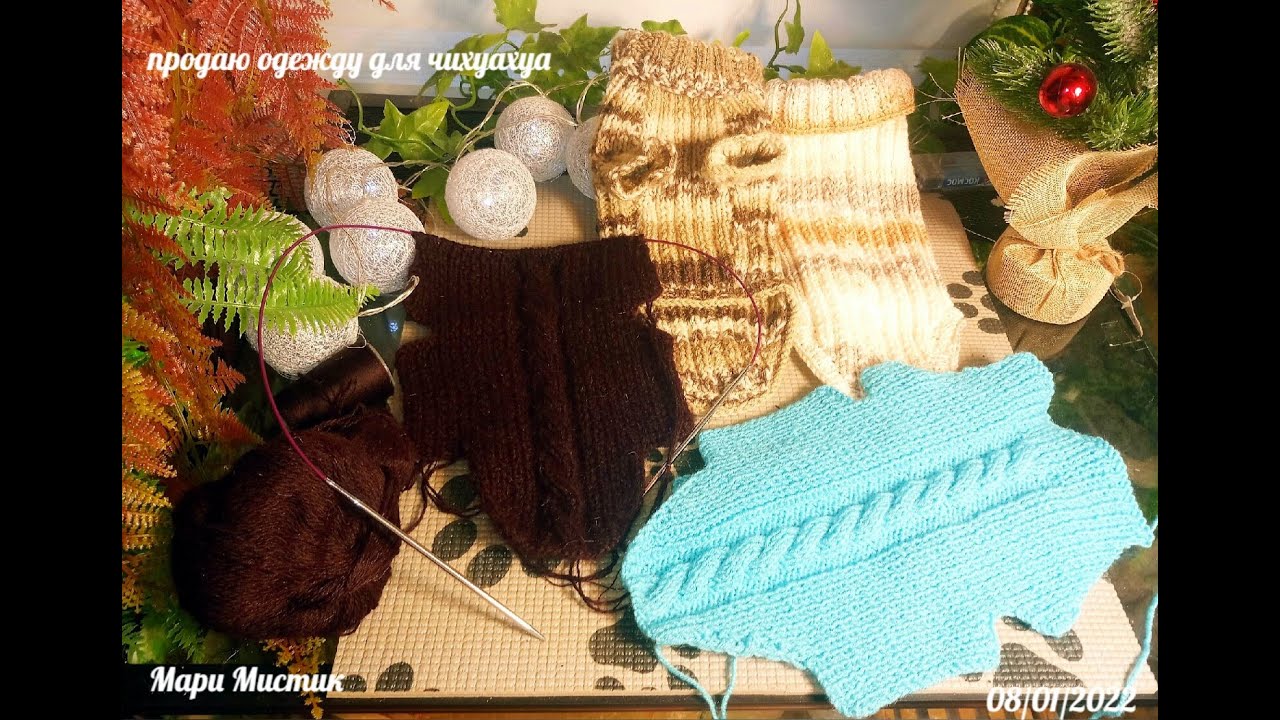 Как БЫСТРО и ПРОСТО связать СВИТЕР для ЧИХУА за 1 вечер / Питомник Мари Мистик