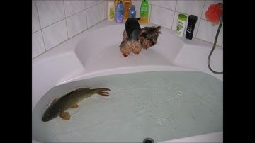 3C - The Reality of War