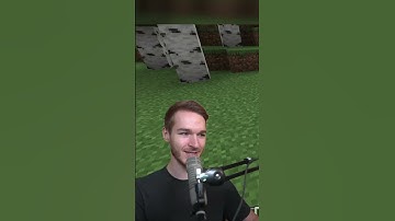 Programming Minecraft Mods for YouTubers!⛏️😱 (Part 2) @Wichtiger #MrLuchs #Shorts