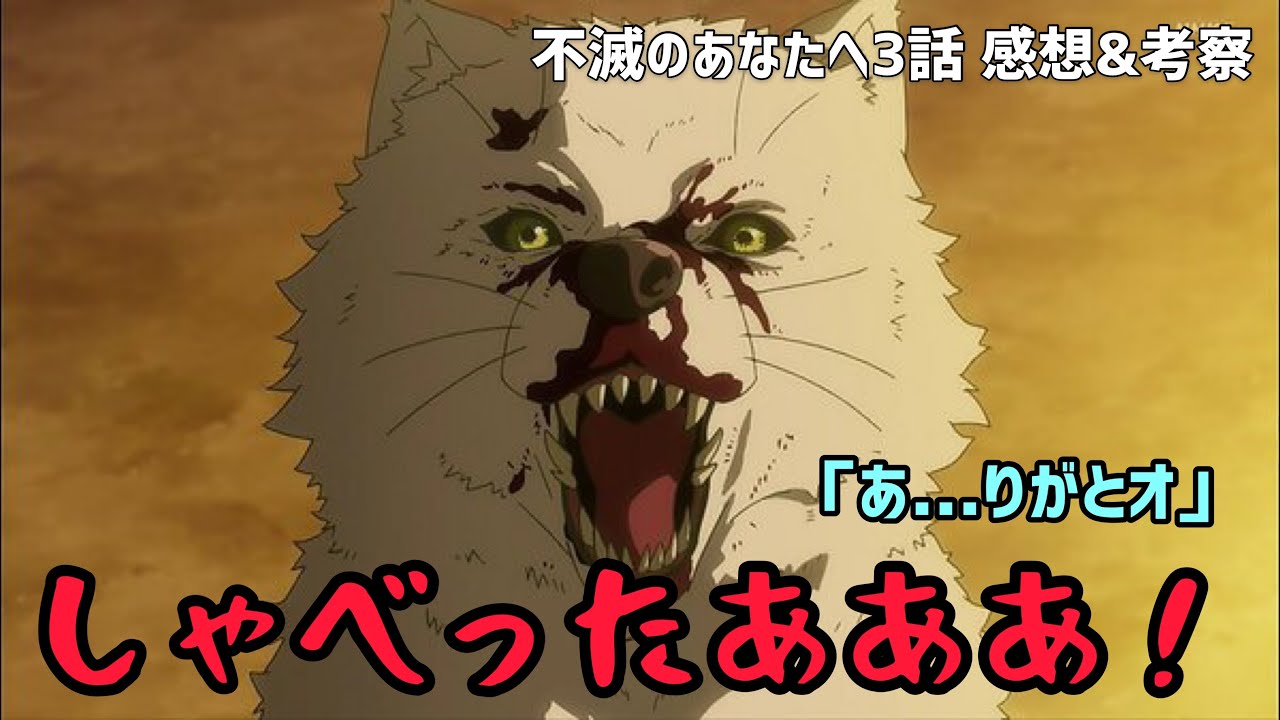 不滅のあなたへ3話 感想 考察 覇権確定の面白さ 圧倒的作画で行われる化物vs獣 春アニメ アニメレビュー Youtube