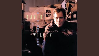 Video thumbnail of "David Wilcox - Someday Soon"