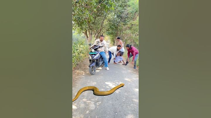 Naag Nagin Ne Pichla Badla Liya 🐍😱|| wait for end ||#shorts #ytshorts #youtubeshorts #nagin #naag