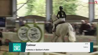 Stud Open Day 2024 | Colmar