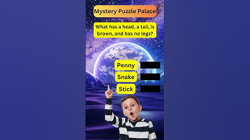 Can You Solve This Mystery Puzzle Palace? 🔍 #riddles #braintest #brainteasers
