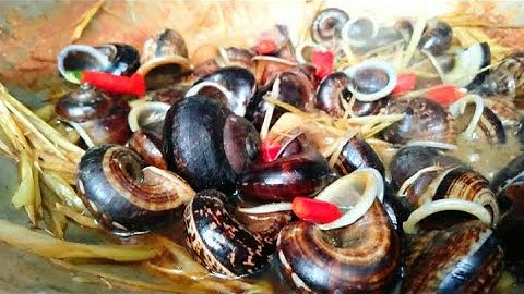 👉 Ốc Núi Xào Sả Ớt Siêu Cay _ Minh Vlogs 😍❤️