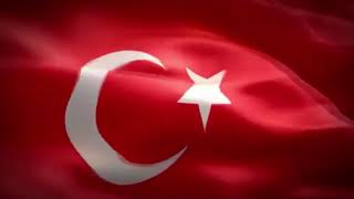 Ömer Halis Demir 30 Kuş