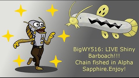 LIVE Shiny barboach!