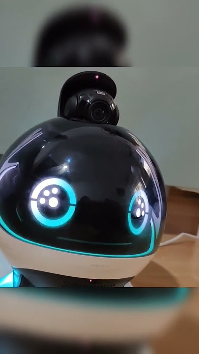Enabot EBO SE con juego de 2 ruedas, cámara robótica de carga automática  con video, visión nocturna, robot compañero inalámbrico para mascotas  ancianas, bebé, control remoto por aplicación : Electrónica 