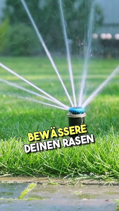 Wie oft solltest du den Rasen bewässern bei 30 Grad? TerraUno erklärt
