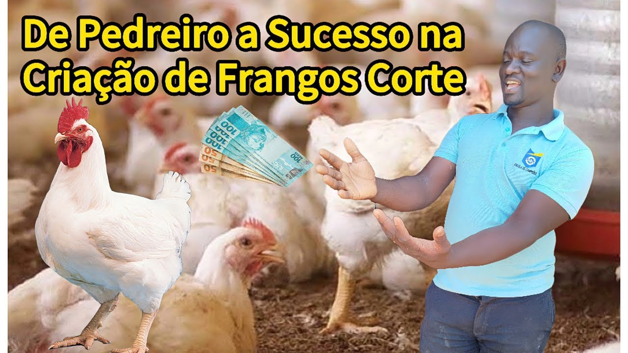 De Pedreiro a Sucesso na Criação de Frangos de Corte: Um Exemplo de Superação!