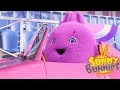 Videos For Kids | SUNNY BUNNIES STYLISH RACERS | Funny Videos For Kids