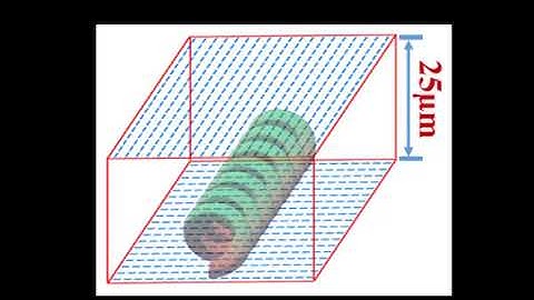 3D Microstructures of Liquid Crystal Networks with Programmed Voxelated Director Fields Part 1