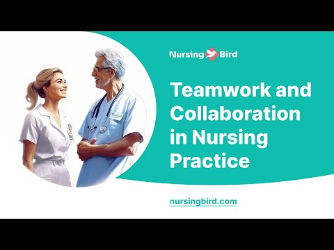 Teamwork and Collaboration