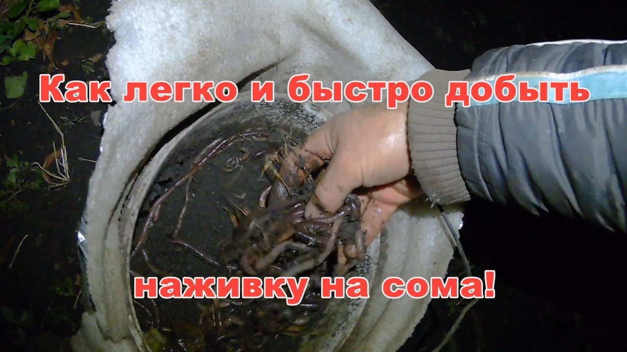 Чем опасны перекупы Чем опасны перекупы