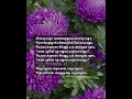 Көзүңдөгү керемет текст Чолпонай Суеркулова