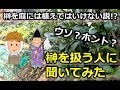 【ウソ？ホント？】榊を庭に植えてはいけない説がある！？ 神棚