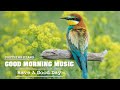 Morning Music - Classical Music For Relaxation, Peaceful Piano Music, Stress Relief Music, Study
