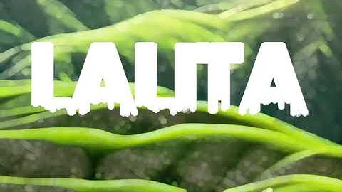 lalita name स्टेट्स ।।lalita viral स्टेट्स💟#viral 🔥#video #trendingvideo #newstetus #2023 #downlode