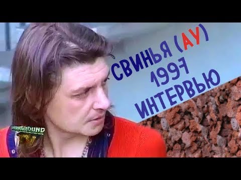 Свин Андрей Панов Фото