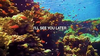 $carecrow - I'll See You Later (Official Lyric Video)