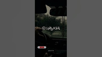{سورة الشعراء } الأية[217_226]❤🥰