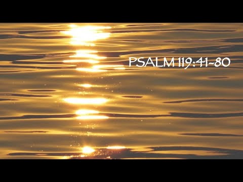 Psalm 119:41-80