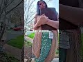 No Judge. No Order. Virginia Cops Exposed #crime #foryou #viral #trending #fypシ #cops