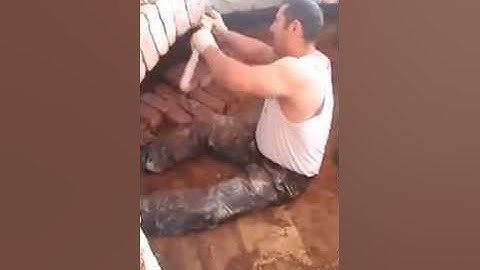 FIRIN KURAN MUSA USTA