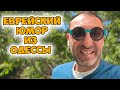 Семен Маркович, а как мы будем делить нашу прибыль? Смешной анекдот про бизнес по-одесски!