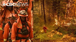 California prison program allows inmates to assist in firefighting efforts