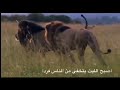 حالات جهادية اجبرتني ضروفي نتقي شر الاعداء اليمن صنعاء انصارالله فلسطين وجهتنا حالات جهادية اجبرتني ضروفي نتقي شر الاعداء اليمن صنعاء انصارالله فلسطين وجهتنا