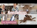 Meet Katie and Lynda From NEEDLEBUGS FELTING | Professional Needle Felters | Needle Felting Business