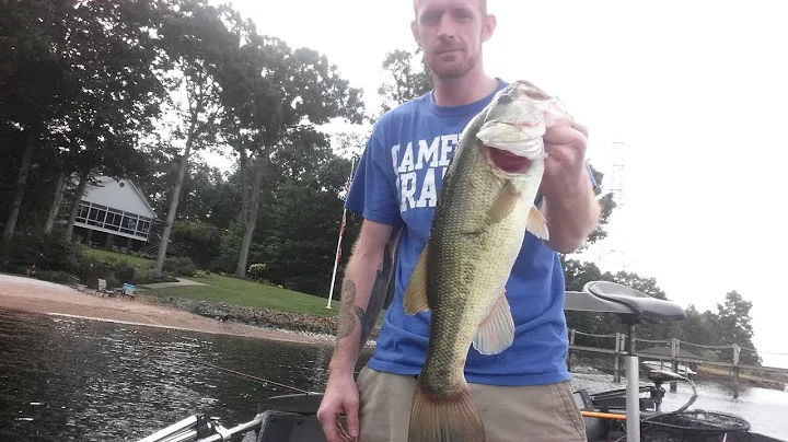 Lake Norman/pond dog days of summer bassin