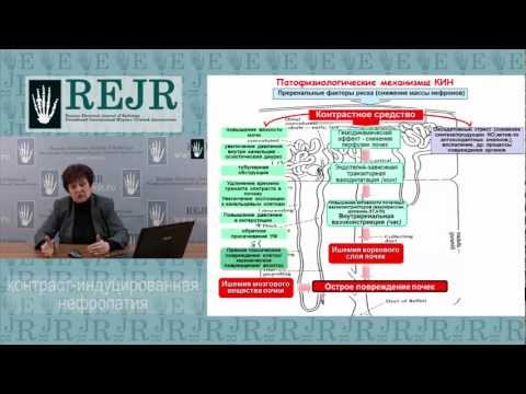 Контраст-индуцированная нефропатия (часть2)