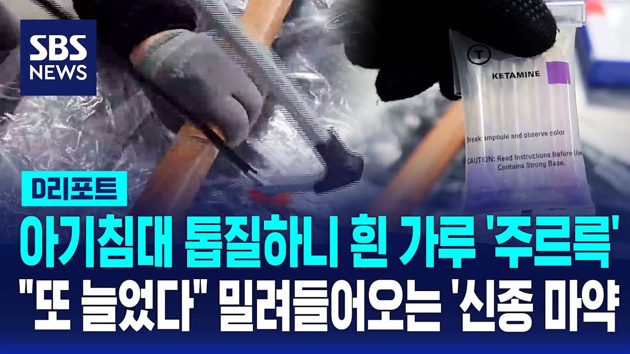 아기침대 톱질하니 흰 가루 '주르륵'.."또 늘었다" 밀려 들어오는 '신종 마약' / SBS / #D리포트