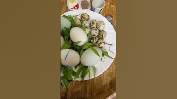 [59] Trứng vịt lộn và cút lộn luộc nước dừa sim - ăn kèm rau răm muối tiêu lớp chanh và ớt