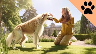 All about the Borzoi