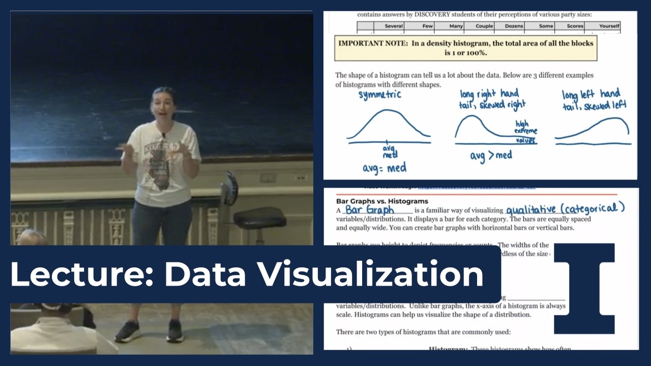 Stm Data Visualization Data Visualization (Histograms) - Lecture at The University of Illinois ...