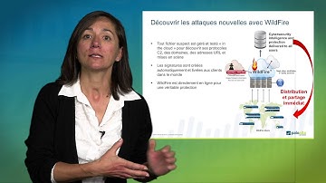 Isabelle Dumont CRIP