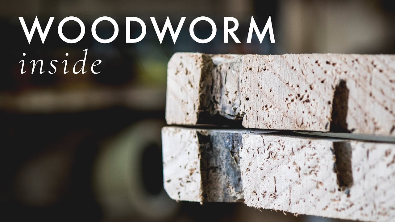 Should You Treat Your Furniture For Woodworm Youtube